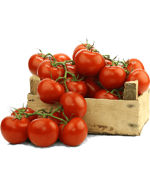 Tomates de Vid Org�nicos